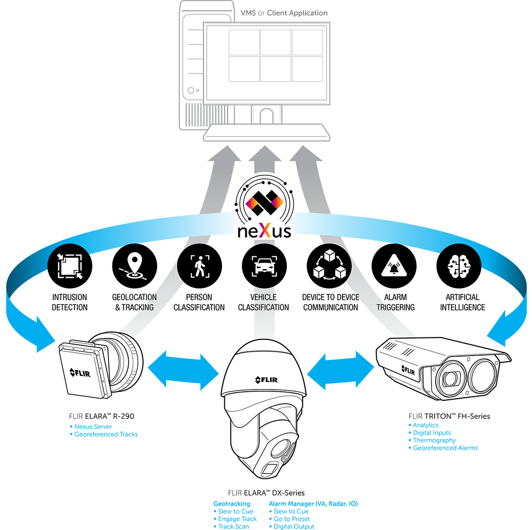 Diagramma Nexus.png