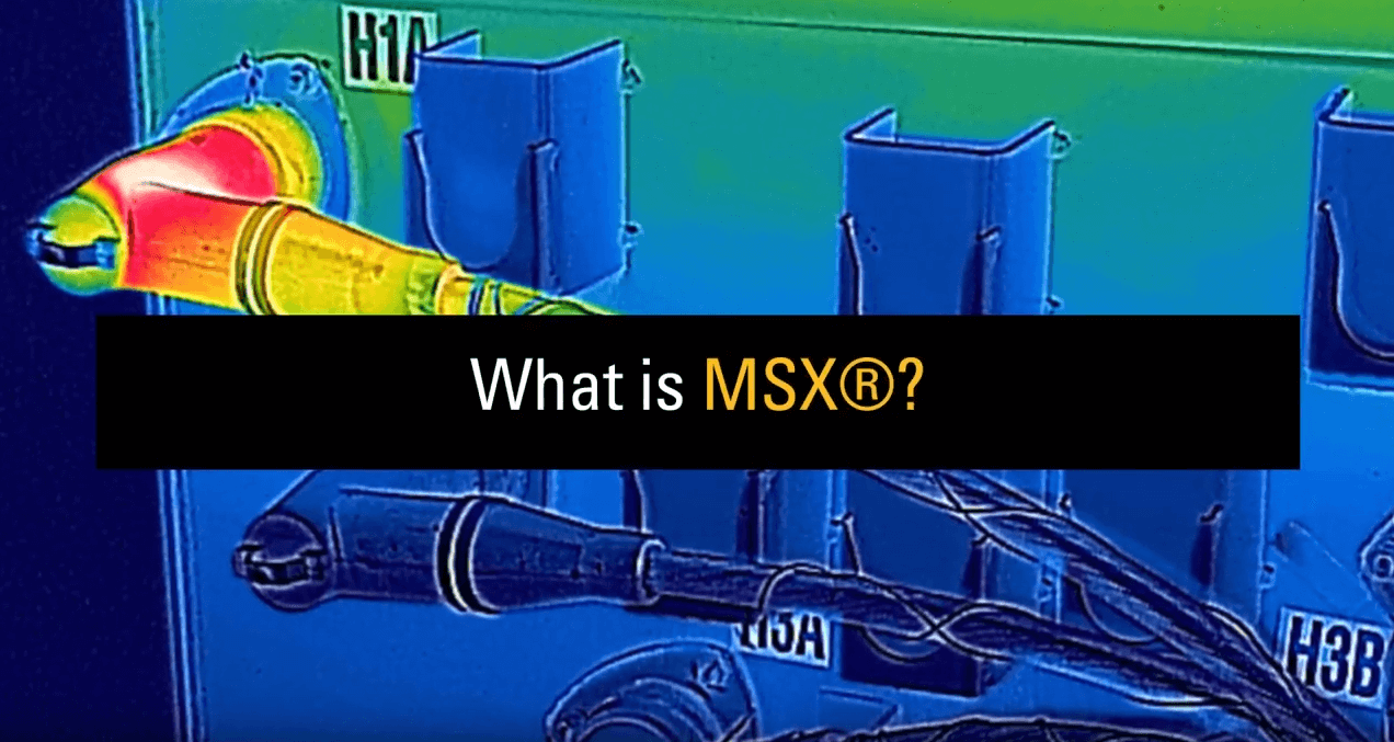 COS'È FLIR MSX®?